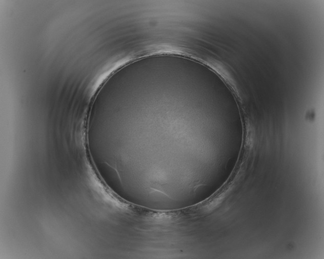 X0000112410806200908211121