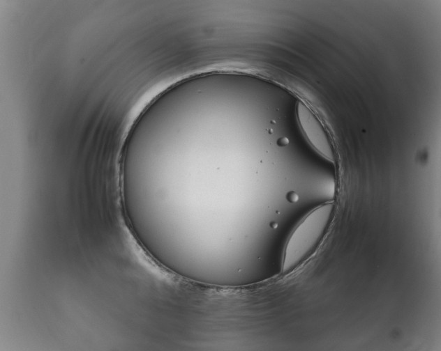 X0000112410808200908211121
