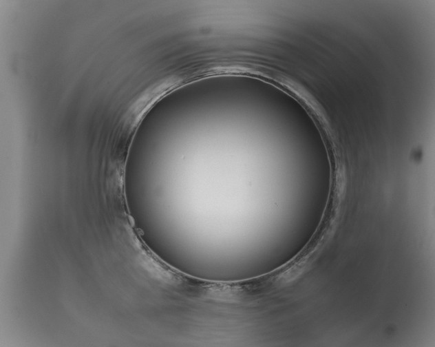 X0000112410809200908211121