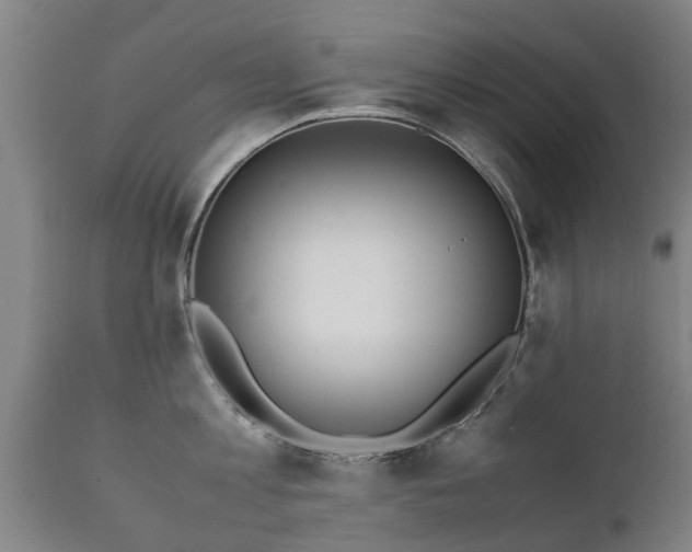 X0000112410813200908211121