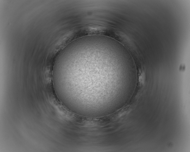 X0000112410819200908211120