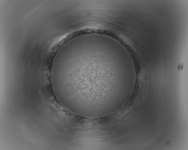 X0000112410822200908211120