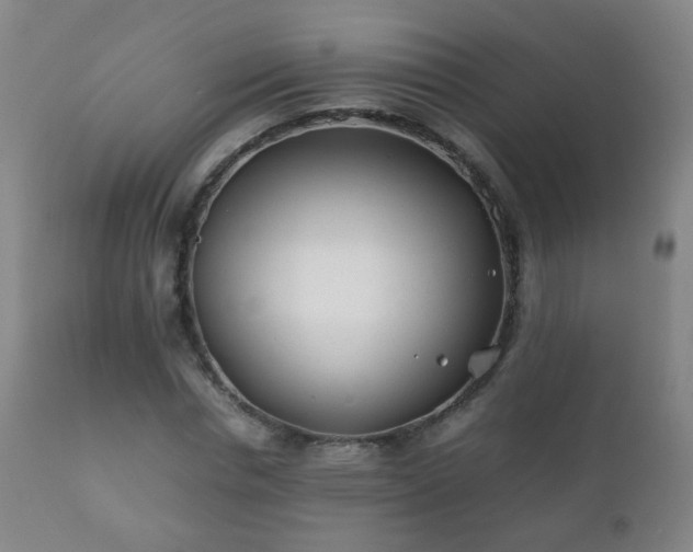 X0000112410826200908211120