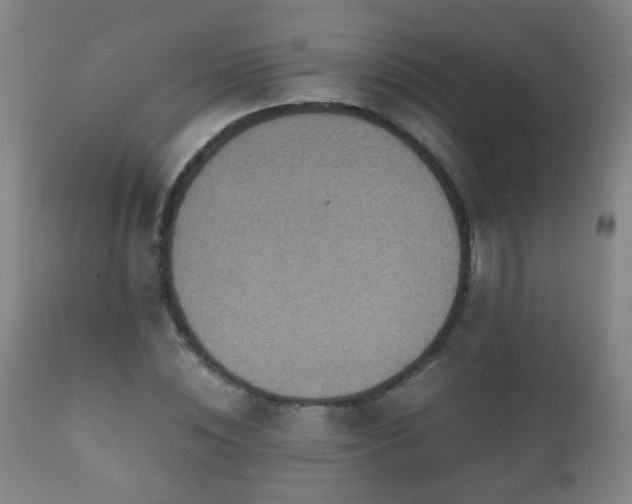X0000112410828200908211120