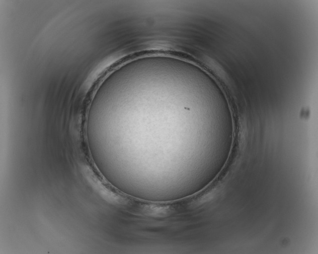 X0000112410831200908211120