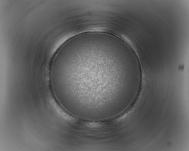 X0000112410835200908211120