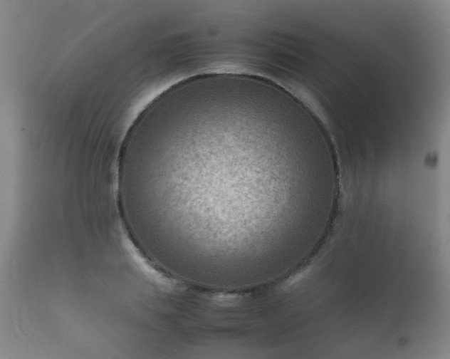 X0000112410839200908211120