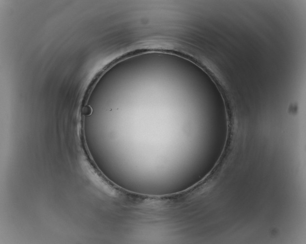 X0000112410840200908211120