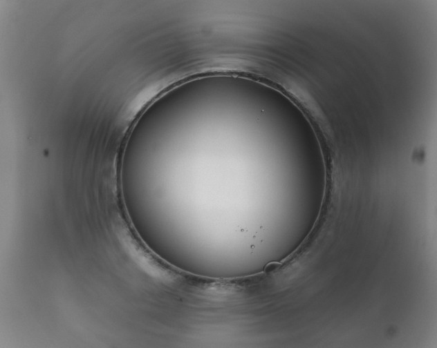 X0000112410842200908211120