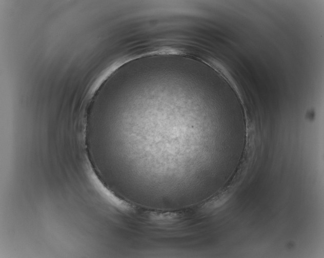 X0000112410851200908211120
