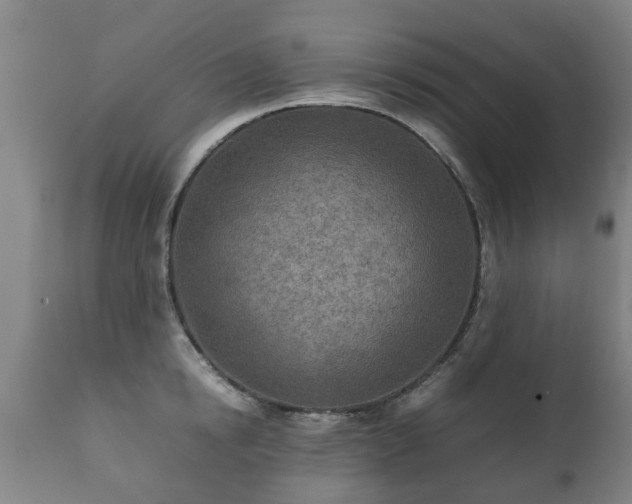 X0000112410854200908211120