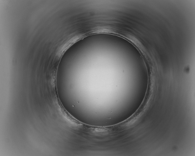 X0000112410857200908211120
