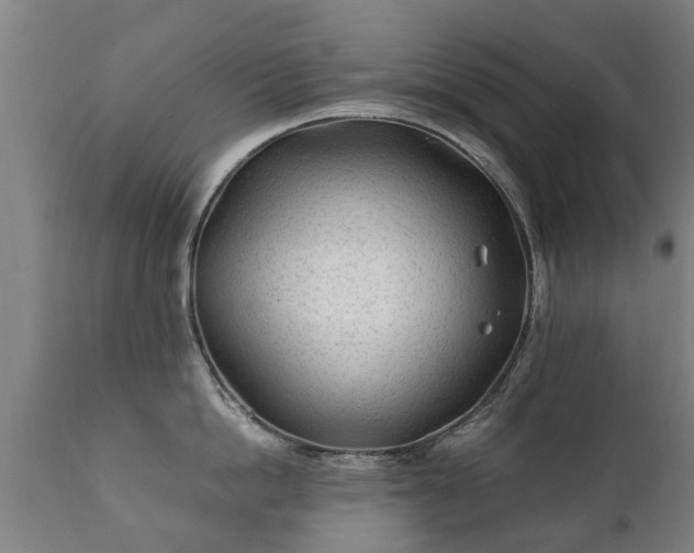X0000112410862200908211120