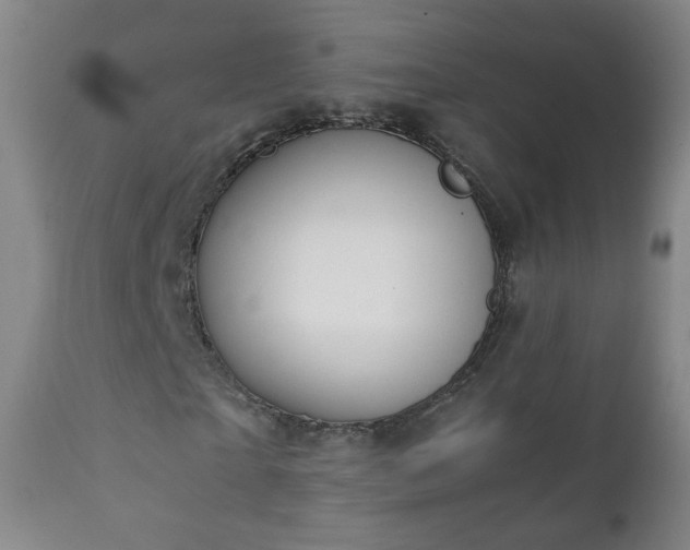 X0000112410865200908211120