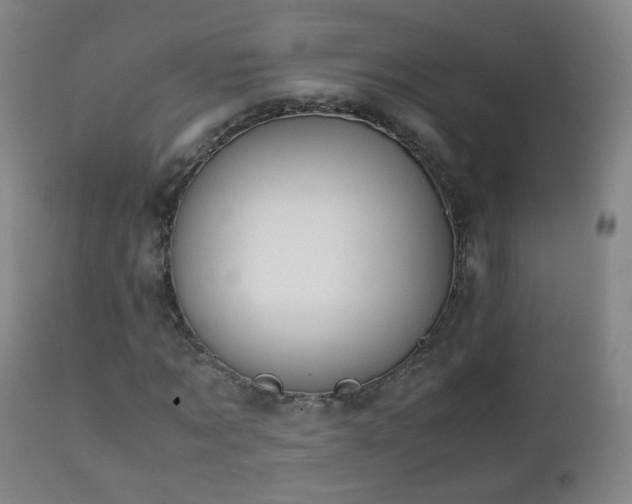 X0000112410869200908211120