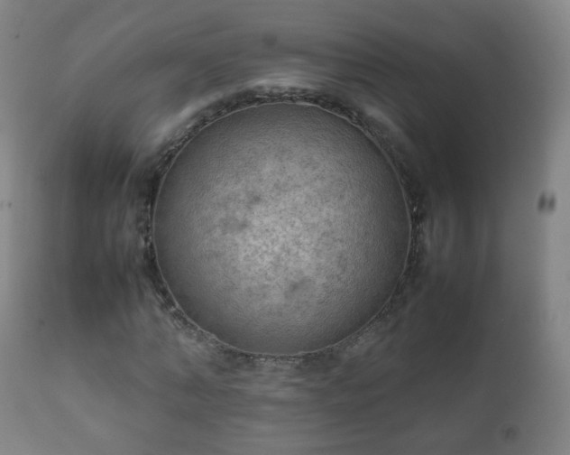 X0000112410870200908211120