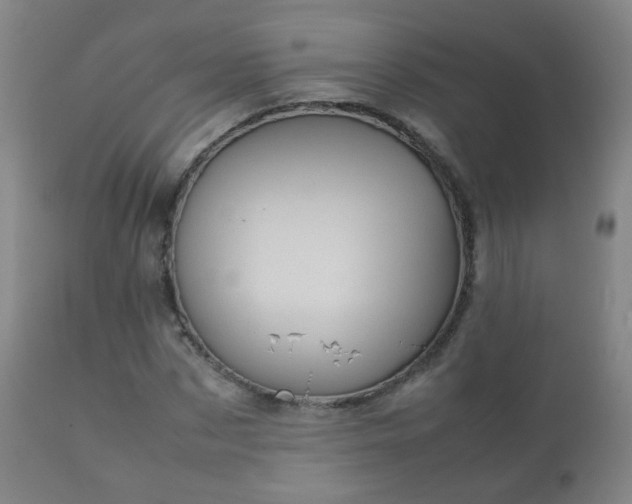 X0000112410873200908211120
