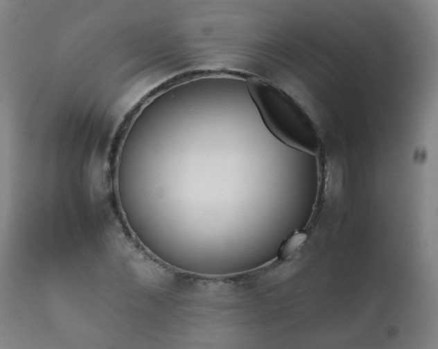 X0000112410876200908211120