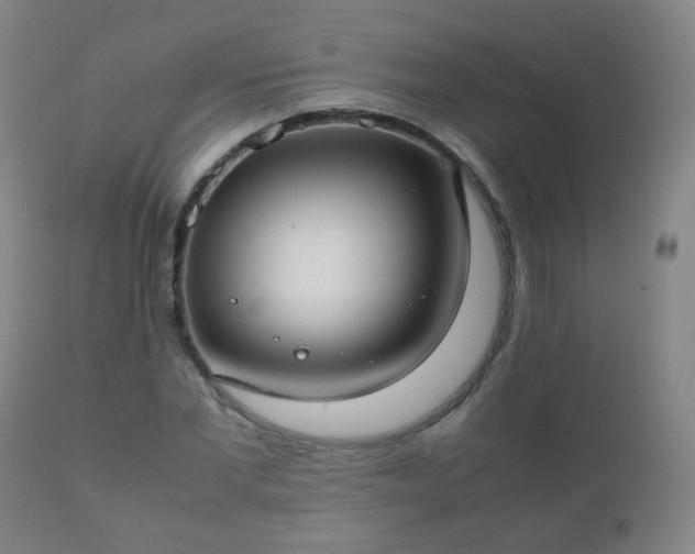 X0000112410877200908211120