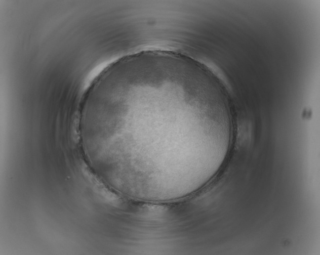 X0000112410878200908211120
