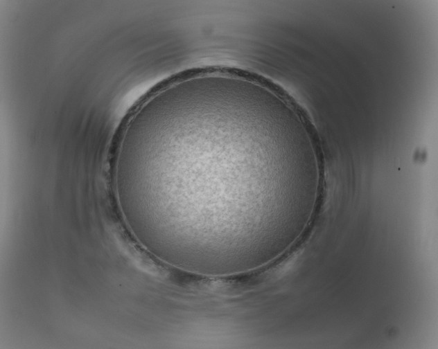 X0000112410879200908211120