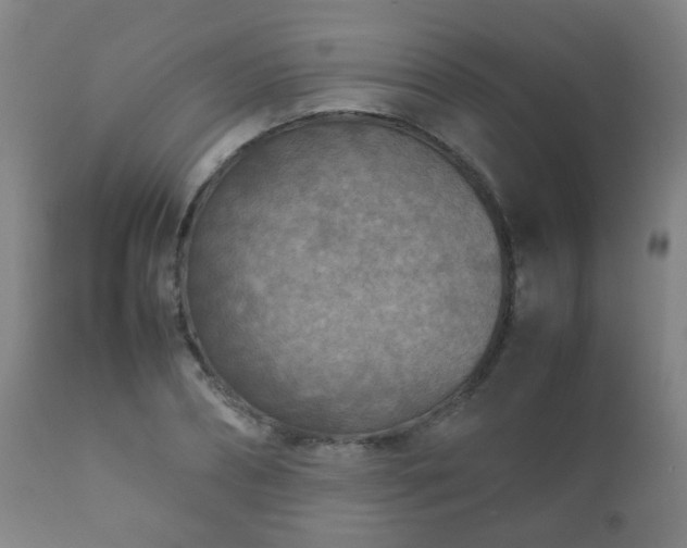 X0000112410882200908211120