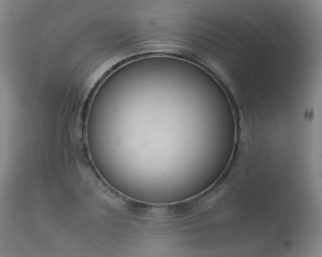 X0000112410883200908211120