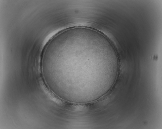X0000112410886200908211119