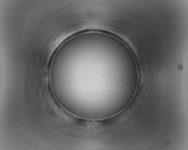 X0000112410887200908211119