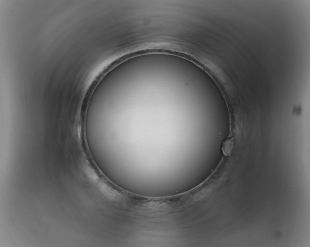 X0000112410888200908211119