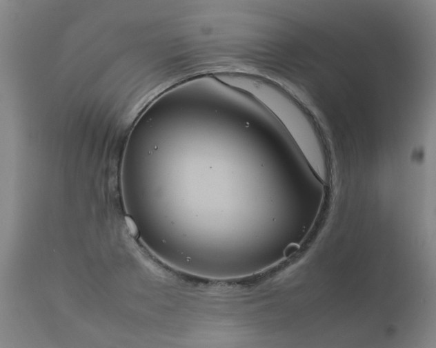 X0000112410889200908211119