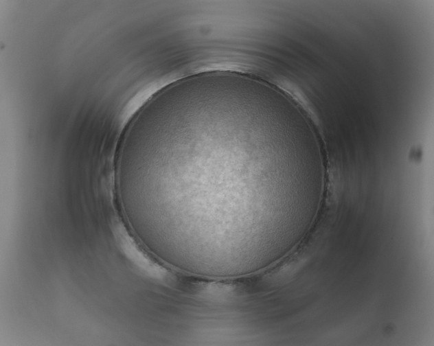 X0000112410890200908211119