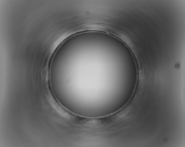 X0000112410891200908211119