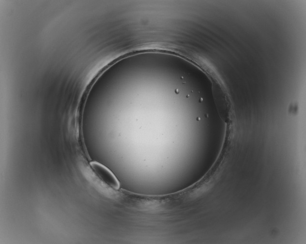 X0000112410892200908211119