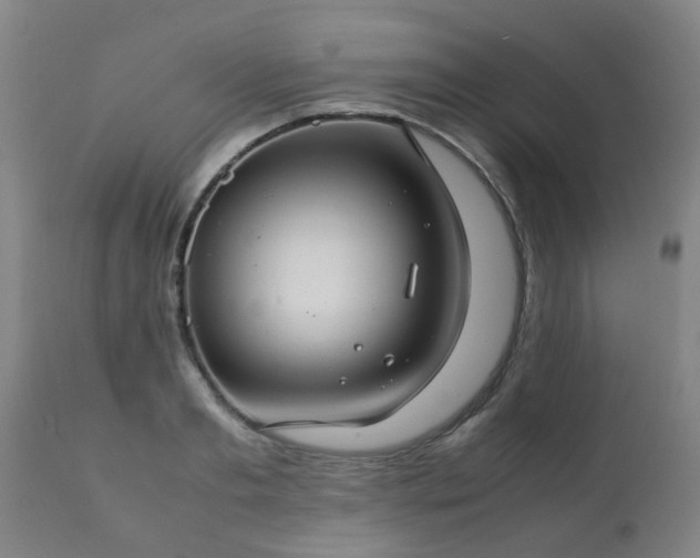 X0000112410893200908211119