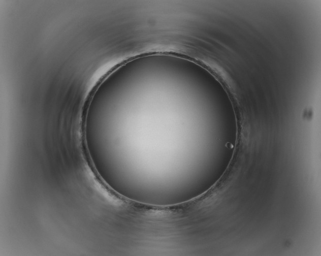 X0000112410894200908211119
