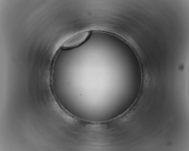 X0000112410896200908211119