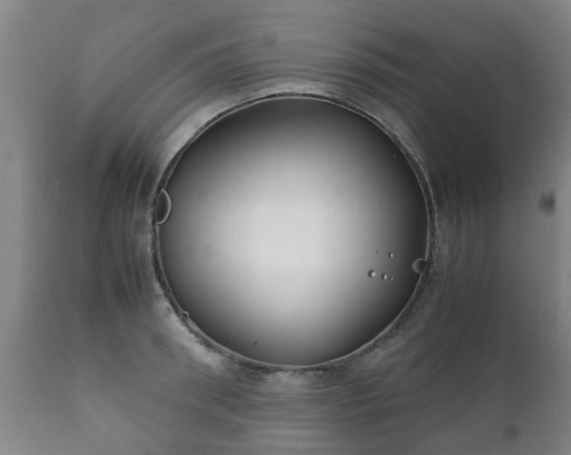 X0000112410898200908211119
