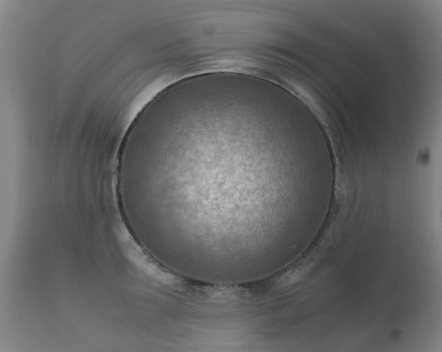 X0000112410899200908211119