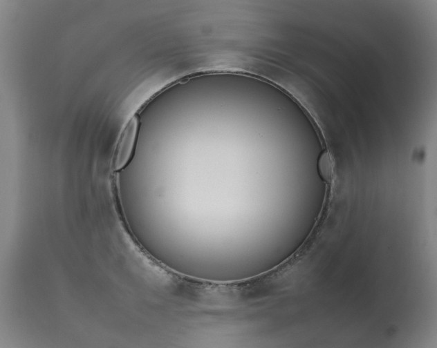 X0000112410901200908211119