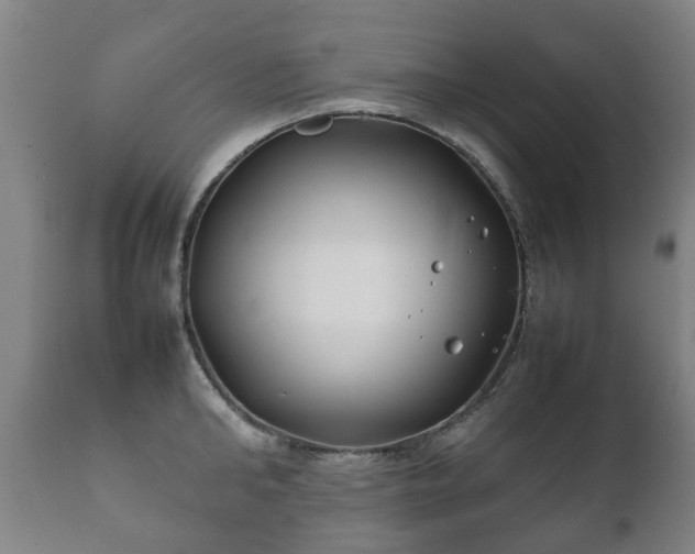 X0000112410902200908211119