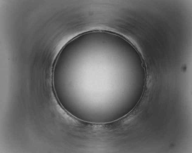X0000112410903200908211119