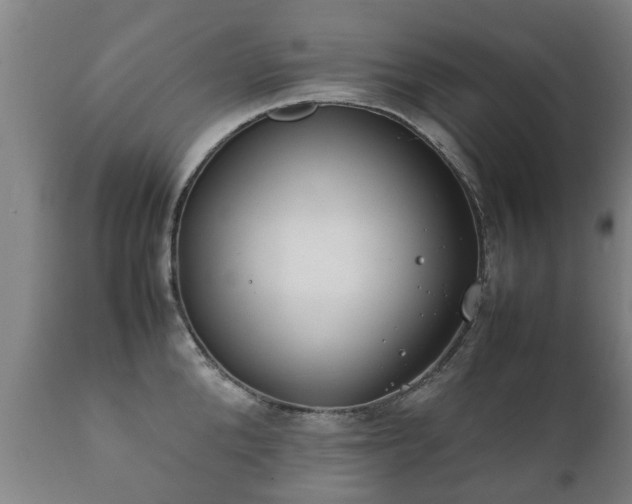 X0000112410904200908211119