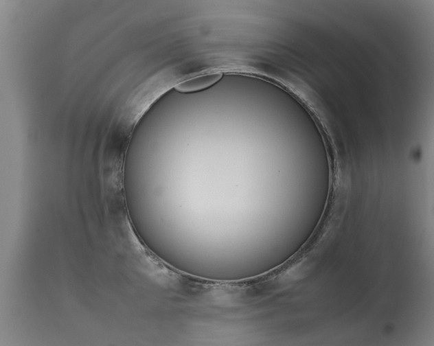 X0000112410905200908211119