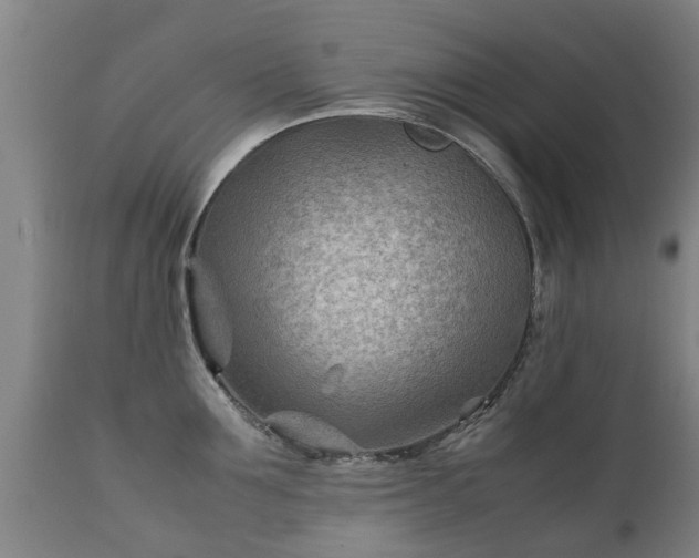 X0000112410907200908211119