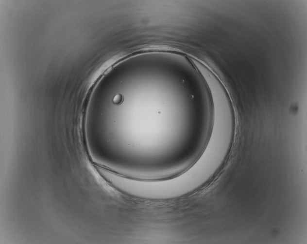 X0000112410909200908211119