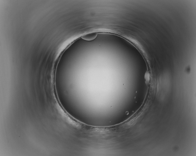 X0000112410910200908211119