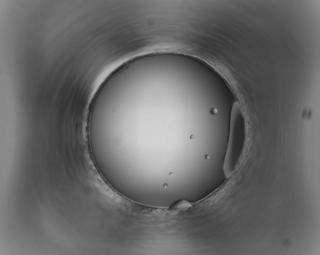 X0000112410912200908211119