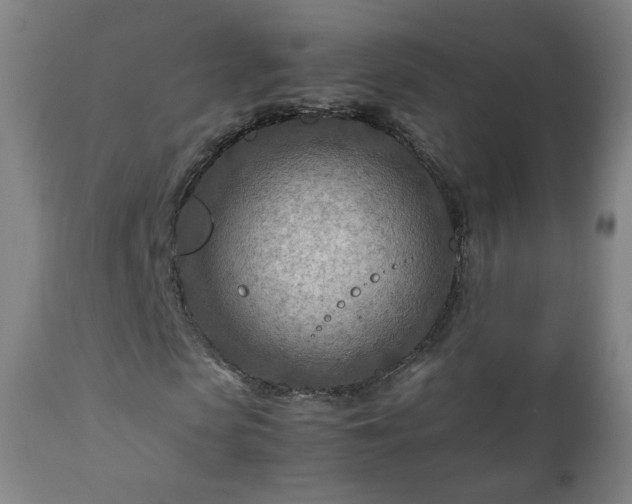 X0000112410913200908211118