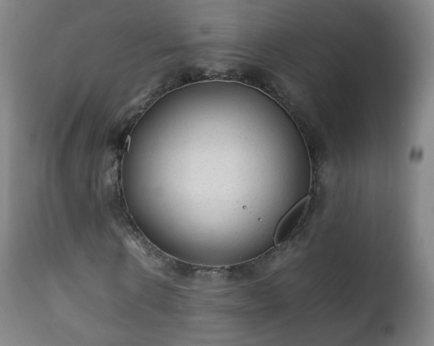X0000112410914200908211118
